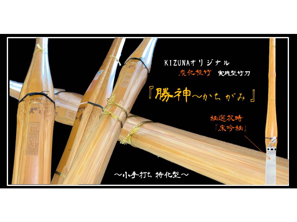早い者勝ち 生産終了 剣道 カーボン竹刀 39 ハセガワ 見易かっ